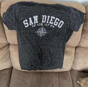 Gray San Diego Graphic T-Shirt